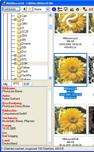 IPTC-Daten in der Bildübersicht