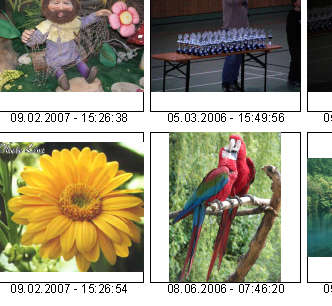 Bildkatalog erzeugen