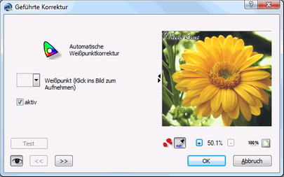 Geführte Korrektur Vorschau