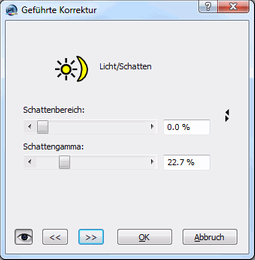 Geführte Korrektur Licht/Schatten