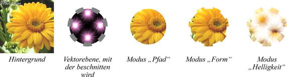 Beschnitt mit Vektorebenen